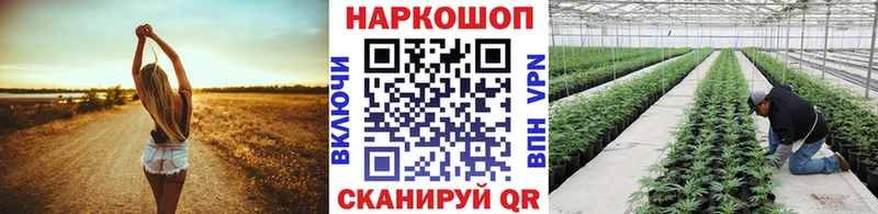 Сколько стоит Воркута МАРИХУАНА Меф мяу мяу COCAIN Alpha PVP Гашиш