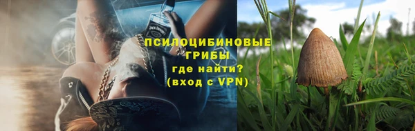 спиды Богородск