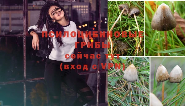 MESCALINE Богородицк