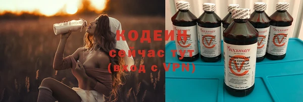 дурь Богданович