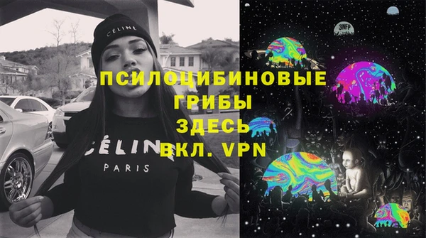 дурь Богданович