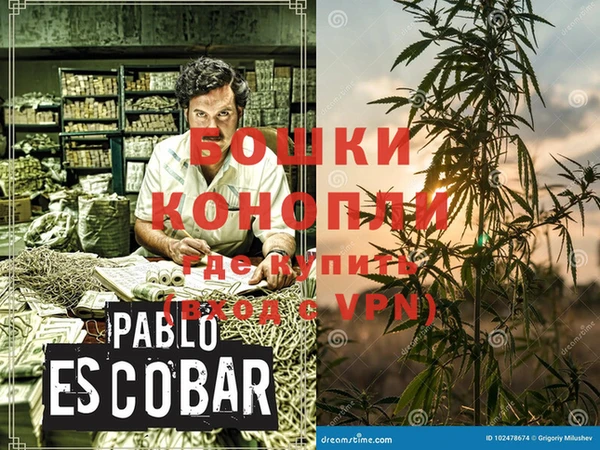 дурь Богданович