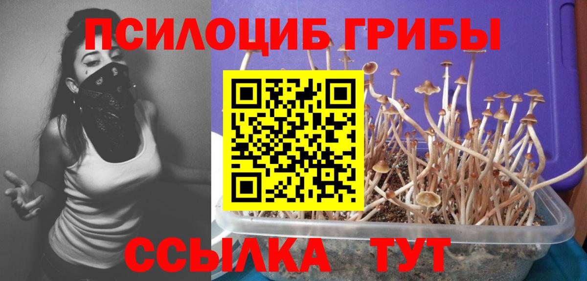 Псилоцибиновые грибы Magic Shrooms Воркута